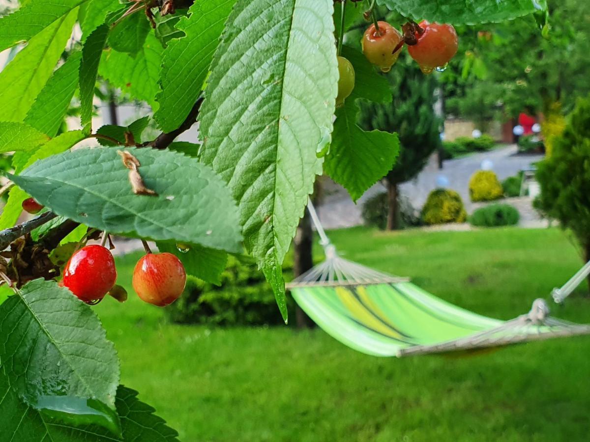 Villa Zenko Briukhovychi Exteriör bild