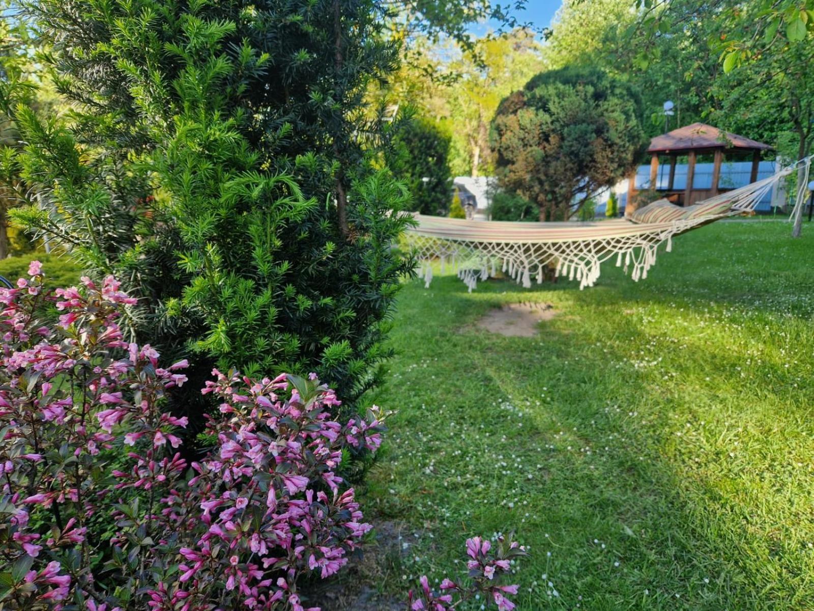 Villa Zenko Briukhovychi Exteriör bild